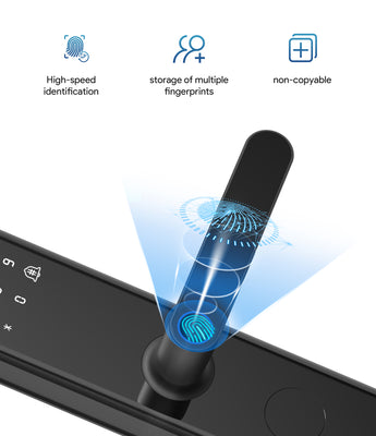 Fingerprint door lock